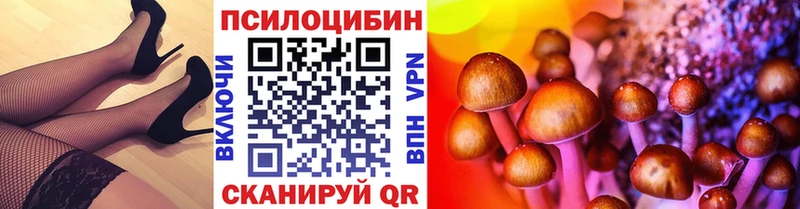 Купить где  Бодайбо  Псилоцибиновые грибы Psilocybine cubensis 